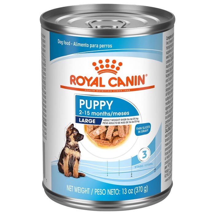 Royal Canin Shn Large Puppy Lata