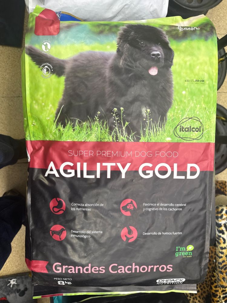 Italcol Agility Gold