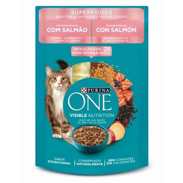 Purina One Salmon